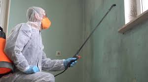 Best Biohazard Mold Removal  in Mount Zion, IL