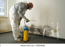 Professional Mold Remediation in Mount Zion, IL